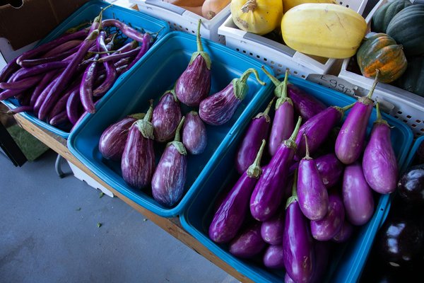 Transformez votre cuisine avec les bienfaits des aliments fermentés : Guide pratique pour une intégration simplifiée !